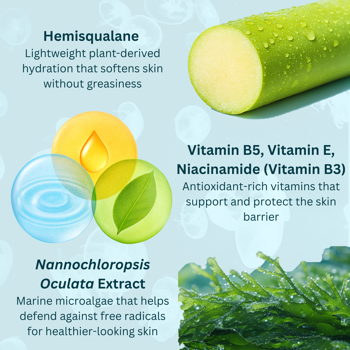 Jellyfish Collagen Lightweight Moisturizer