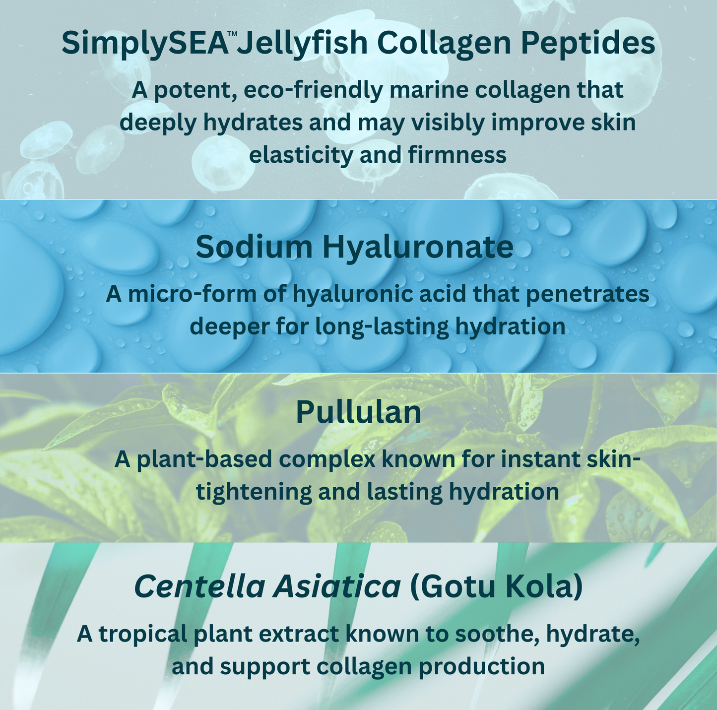 Jellyfish Collagen Lightweight Moisturizer